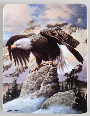 Realm of the Majestic Eagle Winter Watch - No Box