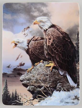 Realm of the Majestic Eagle Winter's Call - No Box