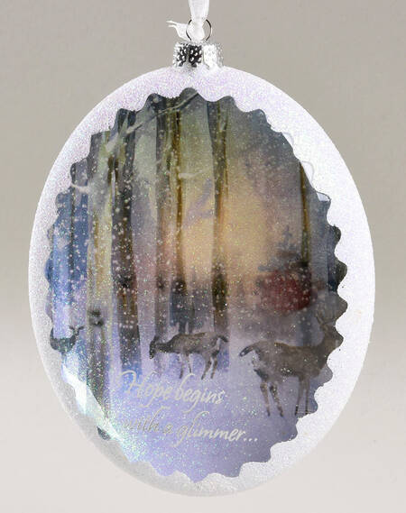 2014 Hallmark Christmas Ornaments Hope Shines Bright-Glass - Boxed