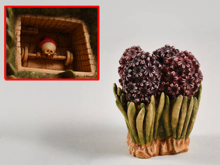 Lord Byron's Harmony Garden Hyacinth - Boxed