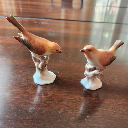Birds Bird/Natural - No Box