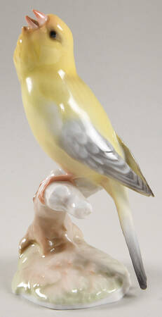 Birds Canary - No Box