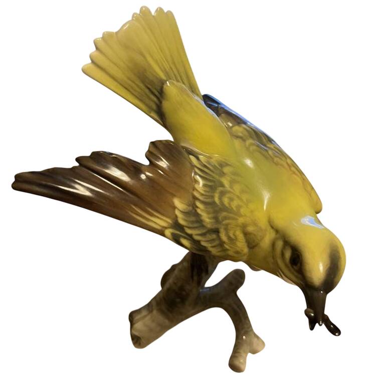 Birds Yellow Warbler On Branch - No Box