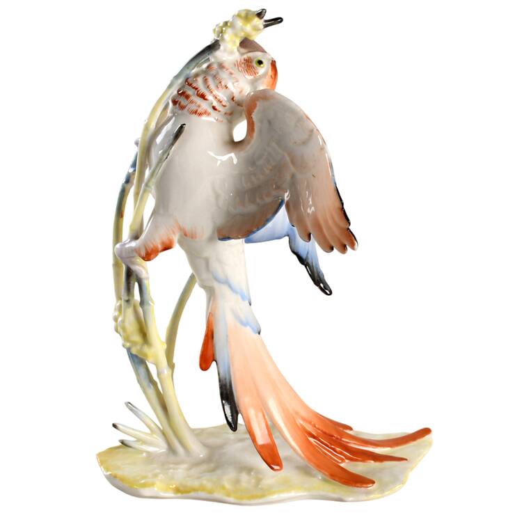 Birds Parrot - No Box