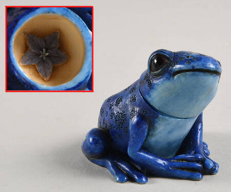 Pot Belly's Zoological Bebe-Frog - Boxed