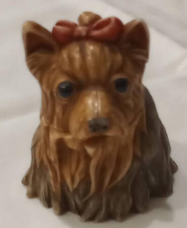 Animal Pot Belly's Yorkie - Boxed