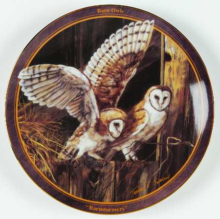 Birds of Prey Barnstormers-Barn Owls - Boxed