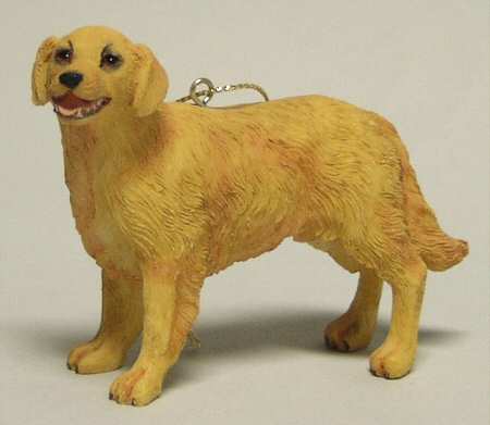 It's Raining Cats & Dogs Golden Retriever - No Box