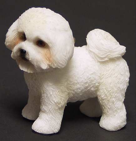 It's Raining Cats & Dogs Bichon Frise - No Box