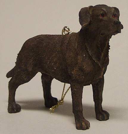 It's Raining Cats & Dogs Chocolate Lab - No Box