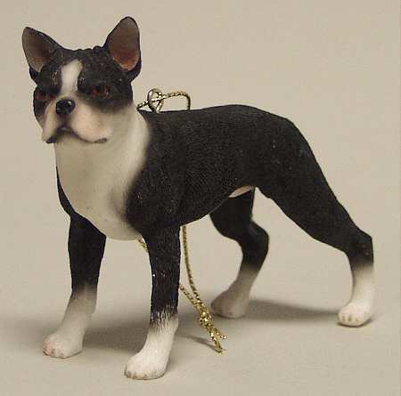 It's Raining Cats & Dogs Boston Terrier - No Box
