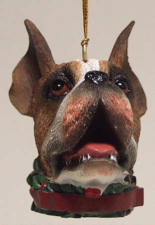 It's Raining Cats & Dogs Boxer-Head - No Box