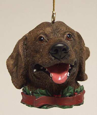 It's Raining Cats & Dogs Chocolate Lab-Head - No Box