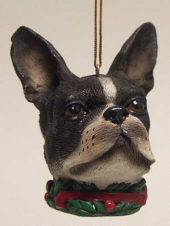 It's Raining Cats & Dogs Boston Terrier-Head - No Box