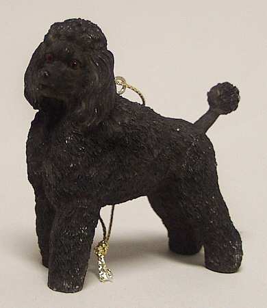 It's Raining Cats & Dogs Poodle-Black - No Box