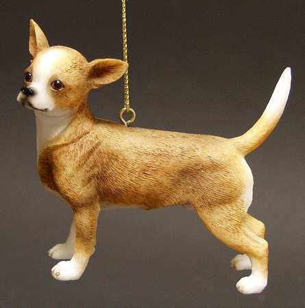 It's Raining Cats & Dogs Chihuahua - No Box