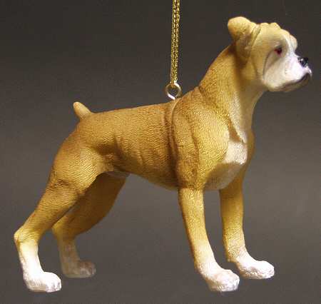 It's Raining Cats & Dogs Boxer - No Box