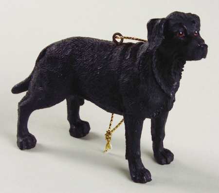 It's Raining Cats & Dogs Black Lab - No Box