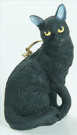 It's Raining Cats & Dogs Black Cat-Sitting - No Box