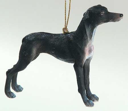 It's Raining Cats & Dogs Greyhound-Black - No Box