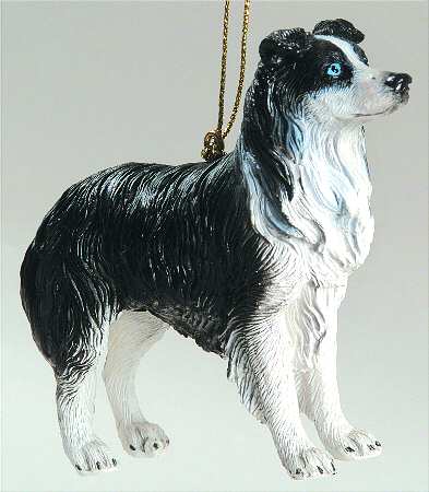 It's Raining Cats & Dogs Border Collie - No Box