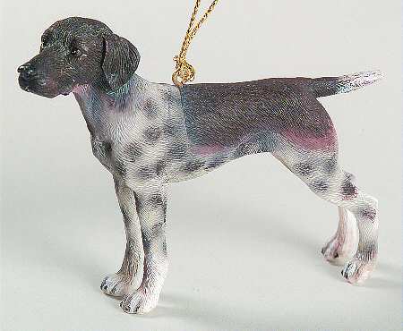 It's Raining Cats & Dogs German Short Hair Pointer - No Box