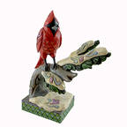 Birds Woodland Wonder - Boxed
