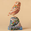 Birds Wonderfully Wise - Boxed