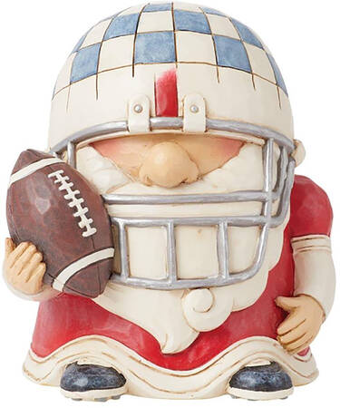 Athlete Gnomes Tailgates & Touchdowns - Boxed