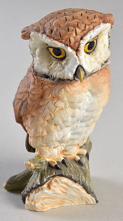 Birds Screech Owl-Colored - Boxed