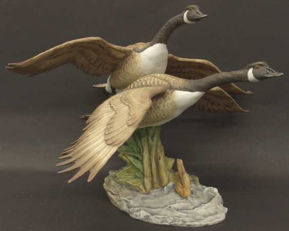 Birds Canada Geese  - Boxed