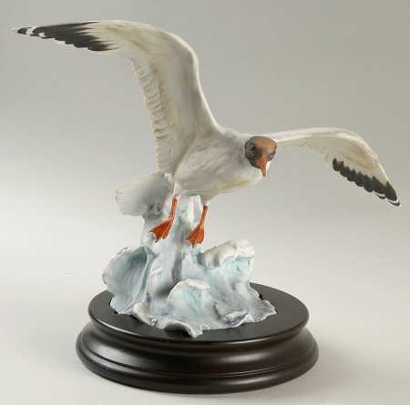 Birds Black Headed Gull (Color Bisque) - Boxed