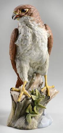 Birds Peregrine Falcon - Boxed