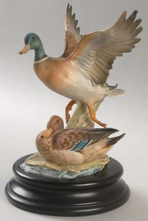 Birds Drake And Duck - Boxed
