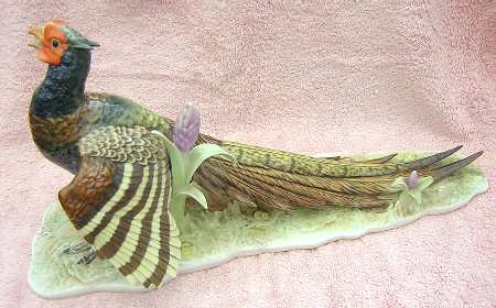 Birds Pheasant - Boxed