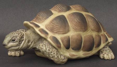 Wild Animals Turtle (Colored Bisque) - Boxed