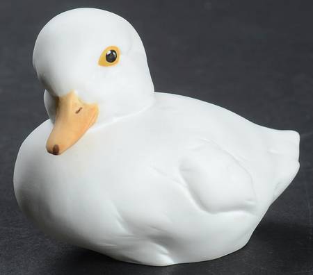Birds Duckling-Colored - Boxed