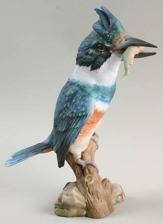 Birds Kingfisher - Boxed