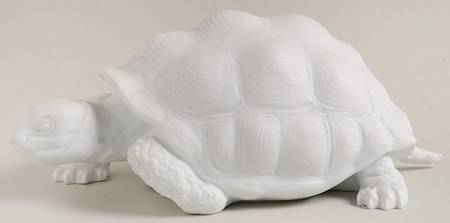 Wild Animals Turtle (White Bisque) - Boxed