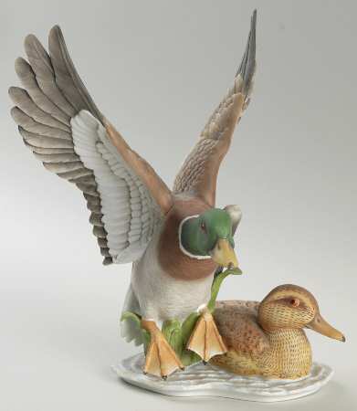 Birds Pair Of Mallard Ducks-Colored  - Boxed