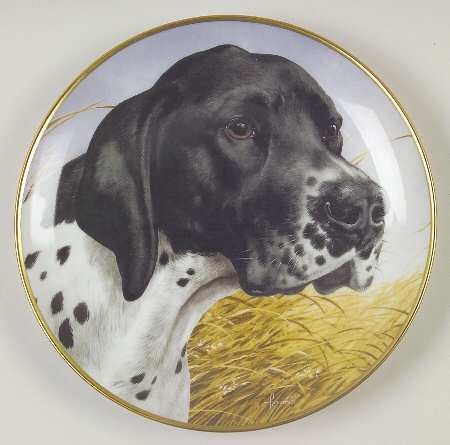 Bird Dogs English Pointer - Boxed