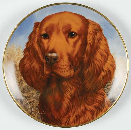 Bird Dogs Irish Setter - Boxed