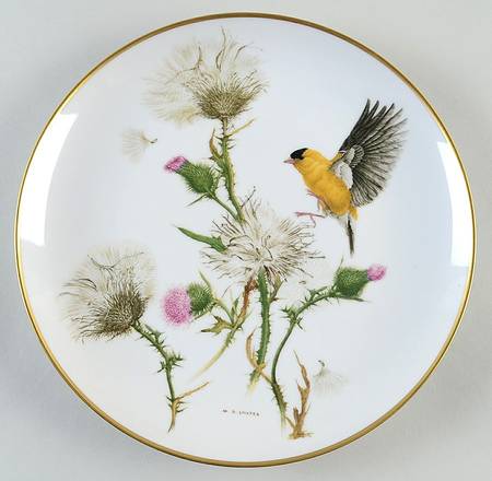 Feathered Friends Goldfinch - Boxed