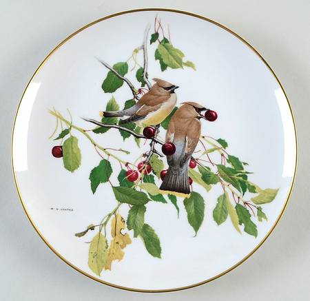 Feathered Friends Cedar Waxwings - Boxed
