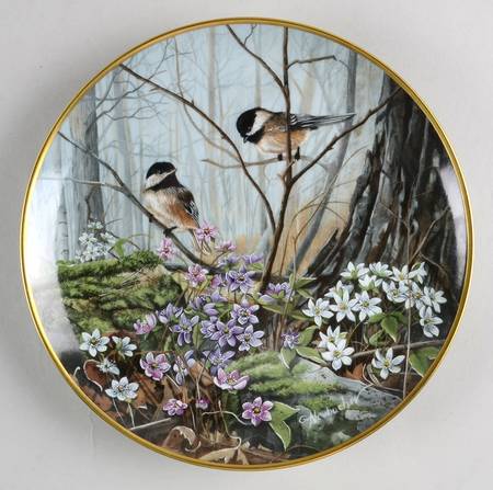 Wild Flowers Spring Beauty - Boxed