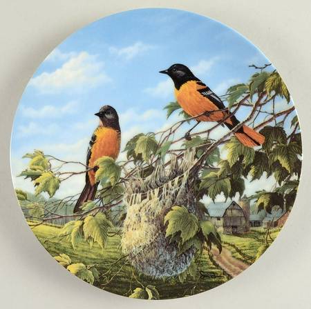 Birds of The Seasons Baltimore Orioles In Summer - Boxed