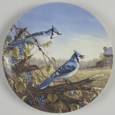 Birds of The Seasons Blue Jays In Early Fall - Boxed