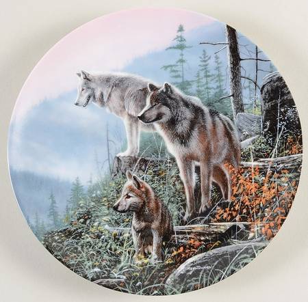 Call of The Wilderness Ahead Of The Pack - Boxed