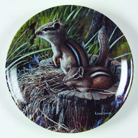 Friends of the Forest Chipmunk - No Box
