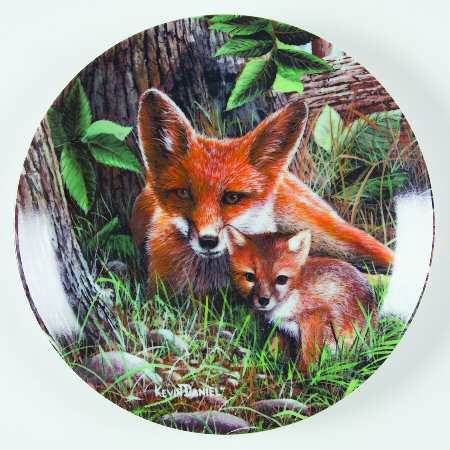Friends of the Forest Fox - No Box